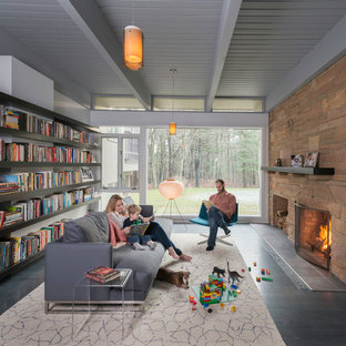 Kleine, Fernseherlose, Abgetrennte Mid-Century Bibliothek mit grauer Wandfarbe, dunklem Holzboden, Tunnelkamin und Kaminsims aus Stein in Boston