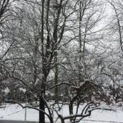 Joan Goss's photo