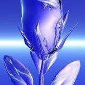 Gaylene Kendall's photo