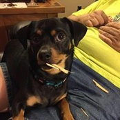 Pat James's photo