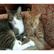 Donna Lund's photo