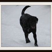 Kimberly Bowden's photo