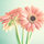 reham_ahmed70