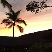 Linda Hemerik's photo