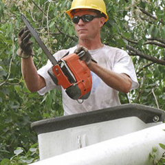 Northshore Tree Services Inc.