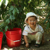Yang Lu's photo