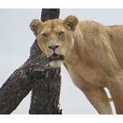 Mary Crews's photo