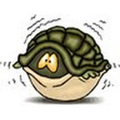 Michael Hudson's photo