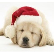 Heather Filuk's photo
