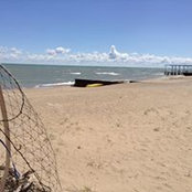 Ann Kollmorgen's photo