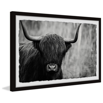 "Angus the Highland Cow" Framed Painting Print, 12x8