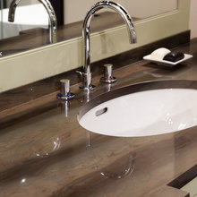 Elegant Brown Quartzite