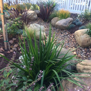Dry River Bed