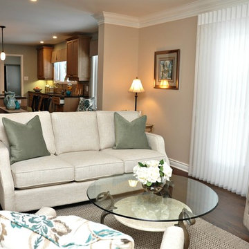 Ottawa Fireplace Redesign