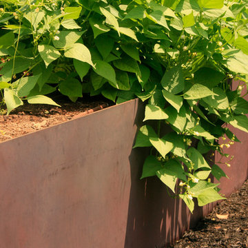 Drought Tolerant Edible Landscape