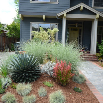 2016 Gamble Garden Tour - Bowdoin