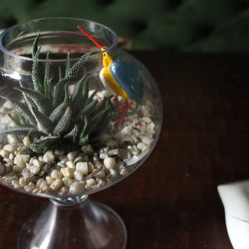Decorating with Plants and Birds