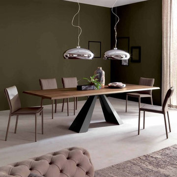 Contemporary Dining Room