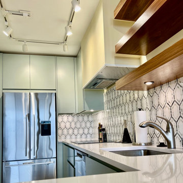 The Watergate Penthouse Full Renovation