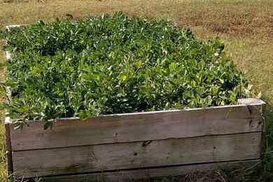 Design ideas for a farmhouse landscaping in Charlotte.