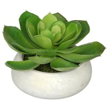 Artificial Green Echeveria in White-Washed Bowl Ceramic