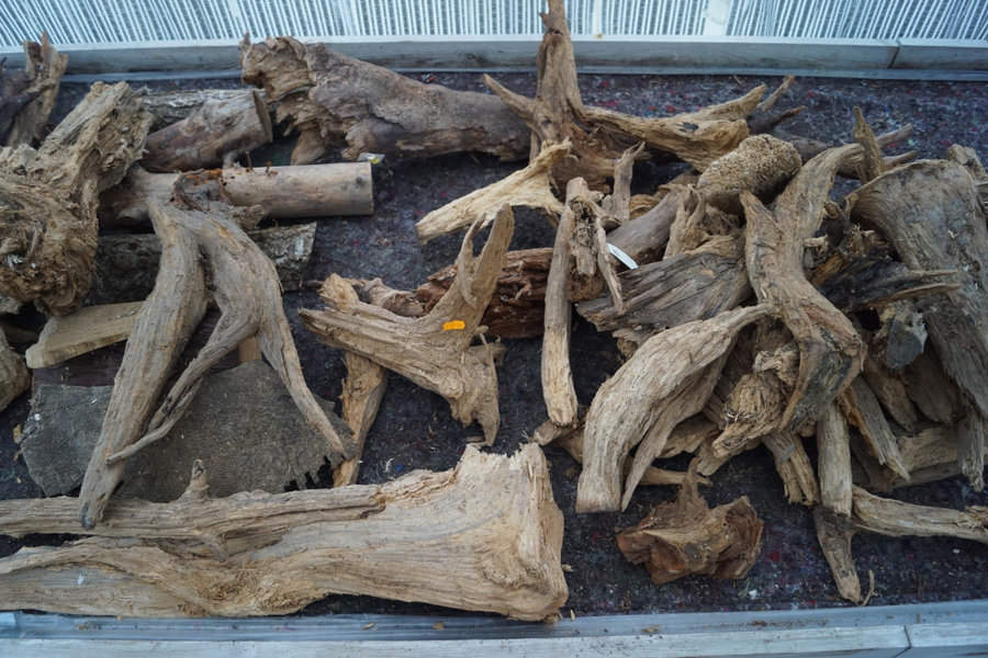 Fuchsiahavens Julesalg 2019