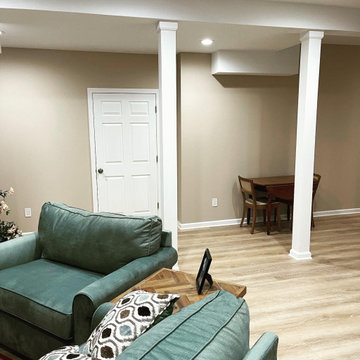 Basements alteration and renovation - Succasuna
