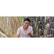 Nguyễn Đình Lăng's photo