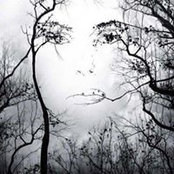 DeDe Yingling Whitlock's photo