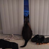 Sandra Shoemake's photo