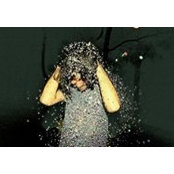 Eric Torres's photo
