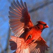 Diane Hosker's photo