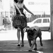 Photo de Liz Taricone