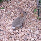 Susan Seifert's photo