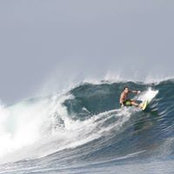 Scott Manwarings billede