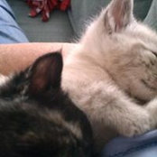 Della Malone's photo