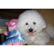 Florence Yao's photo