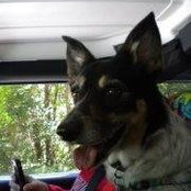 Teresa Ryan's photo