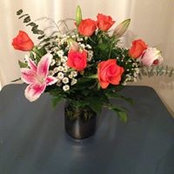 Virginia Vicent's photo