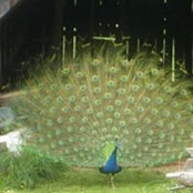 Foto de Barbara Singhass
