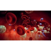 James Jensen's photo