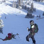 Craig Louer's photo