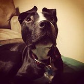 Victor Wills's photo