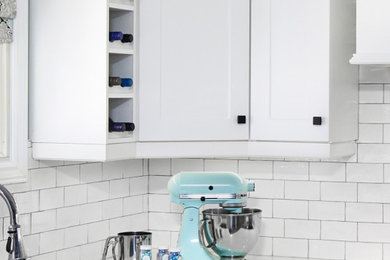 Inspiration for a transitional home design remodel in Toronto