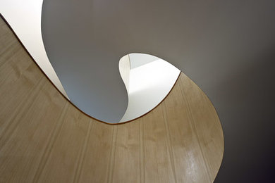 Inspiration for a contemporary staircase in Sydney.