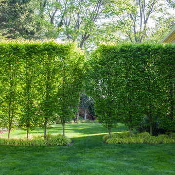 Hedgerows