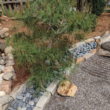 Zen Garden
