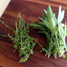 Herb drying