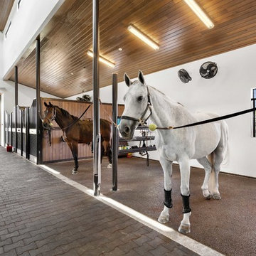 Equestrian: M&M show stables
