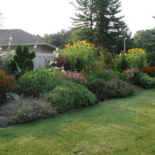 Front yard
